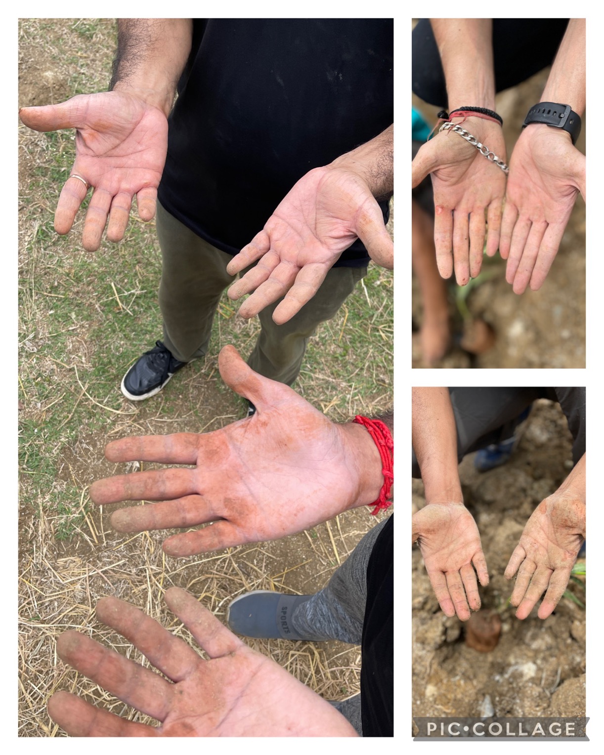 Muddy hands