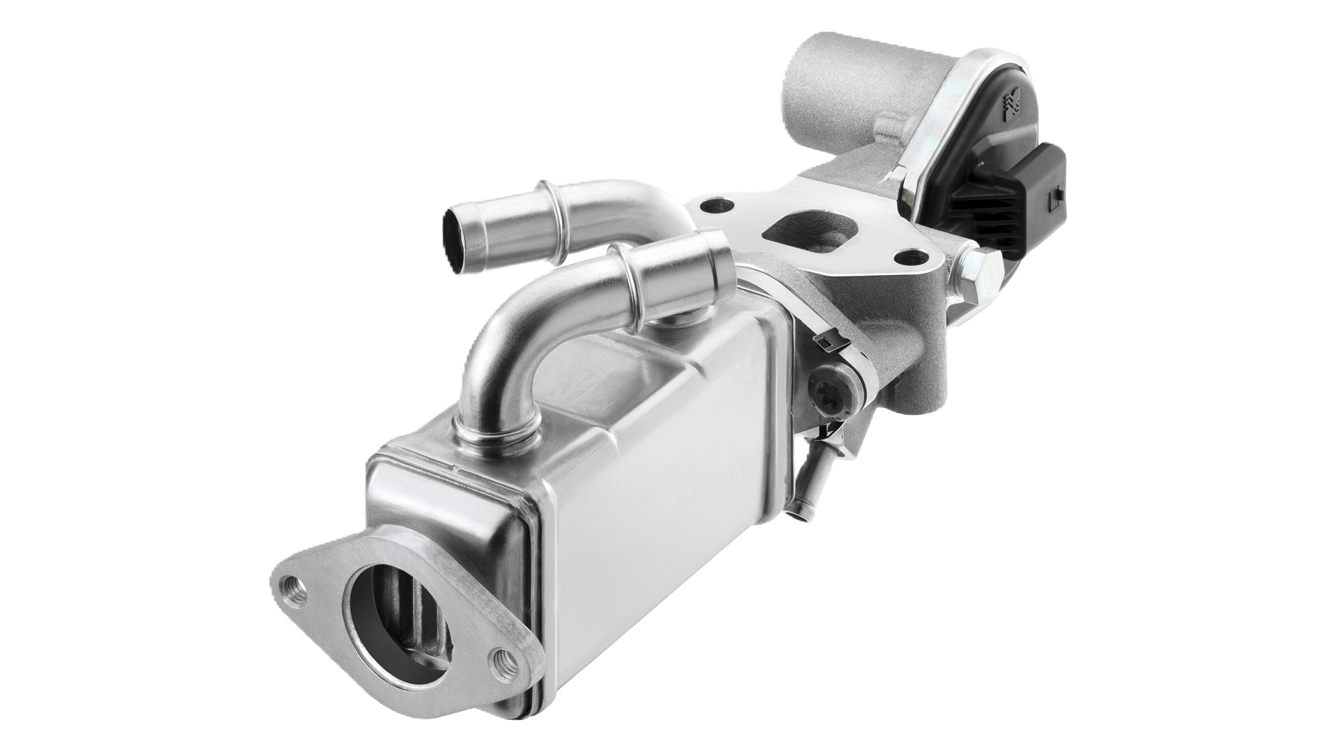 BorgWarner exhaust gas recirculation module on transparent background
