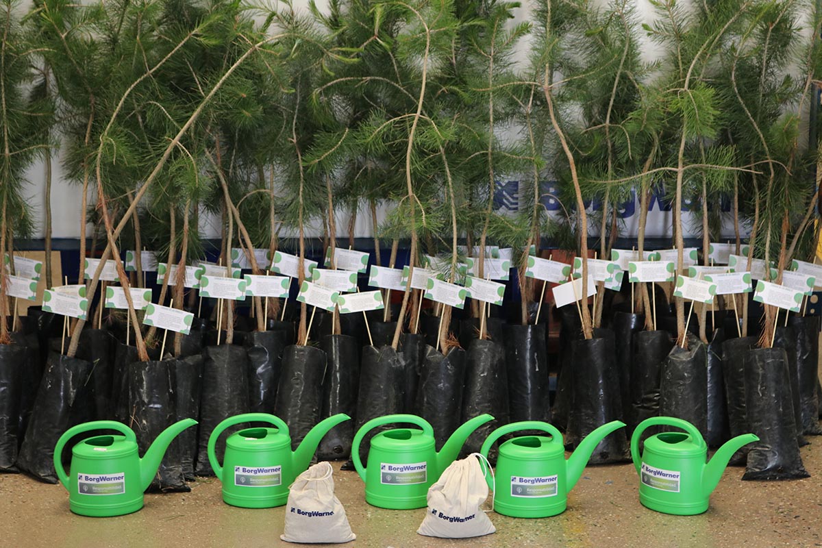 Watering cans and ready to plant trees